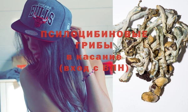 стаф Алзамай