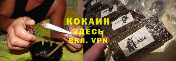 стаф Алзамай