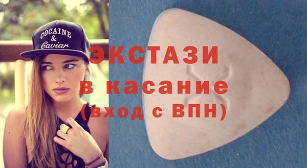 стаф Алзамай
