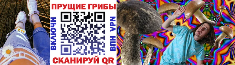 ОМГ ОМГ ТОР  Йошкар-Ола  Псилоцибиновые грибы Psilocybine cubensis 